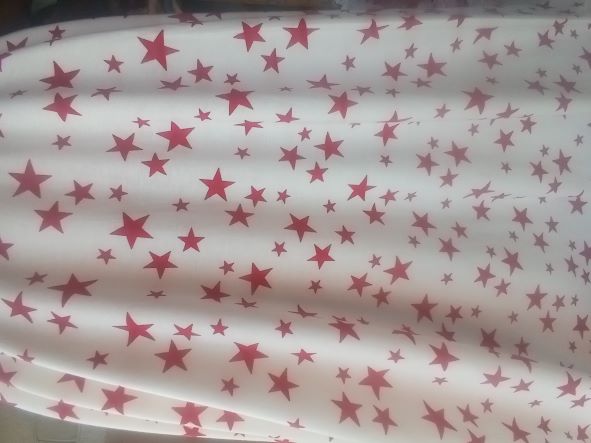 Red Stars on Ivory French Terry