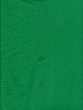 KELLY GREEN  Cotton Lycra Jersey Knit